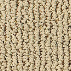 Summit Cleaning Services Carpet Selection Guide - Smart Strand Carpet