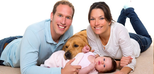 Carson City Carpet Cleaning - Summit Cleaning Services of Carson City - North Lake Tahoe Carpet Cleaning, Reno Carpet Cleaning, Minden Carpet Cleaning, Gardnerville Carpet Cleaning