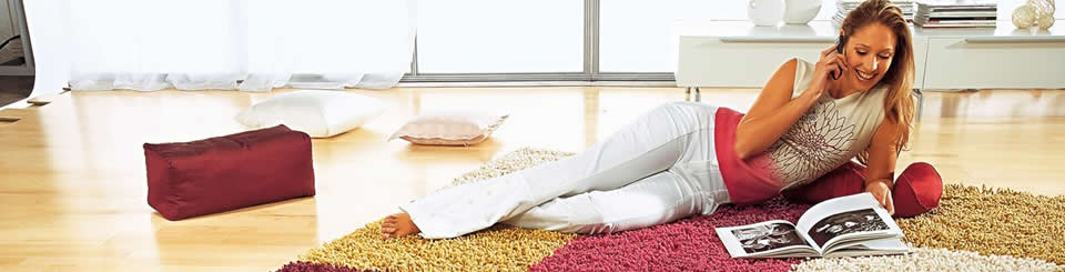 Summit Cleaning Services specializes in Carson City Area Rug Cleaning, North Lake Tahoe Area Rug Cleaning, Reno Area Rug Cleaning, Minden Area Rug Cleaning and Gardnerville Area Rug Cleaning.