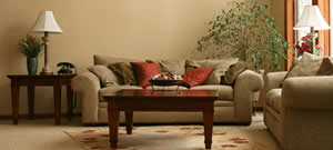 Summit Cleaning Services specializes in Carson City Area Rug Cleaning, North Lake Tahoe Area Rug Cleaning, Reno Area Rug Cleaning, Minden Area Rug Cleaning and Gardnerville Area Rug Cleaning