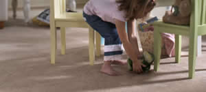 Summit Cleaning Services for Carson City Carpet Cleaning, North Lake Tahoe Carpet Cleaning, Reno Carpet Cleaning, Minden Carpet Cleaning and Gardnerville Carpet Cleaning