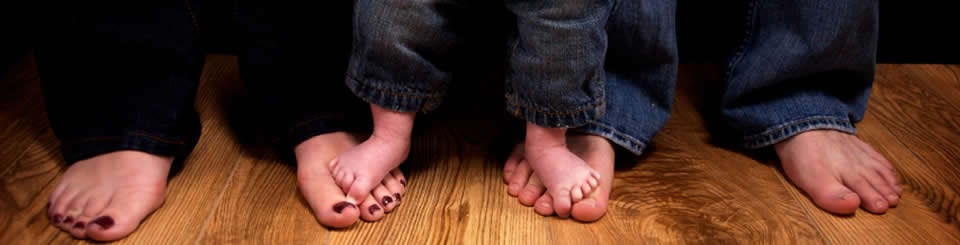 Summit Cleaning Services is a full-service hardwood cleaning company serving the North Lake Tahoe and the Carson City area.