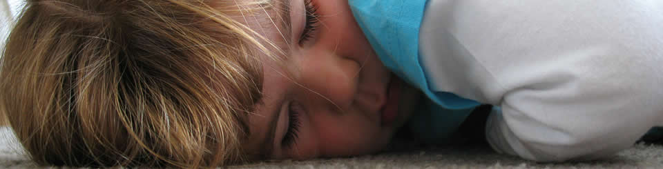 Summit Cleaning Services is a full-service carpet care company serving the North Lake Tahoe and the Carson City area.