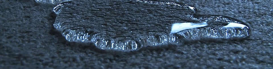 Summit Cleaning Services is a full-service carpet and upholstery protectant company serving the North Lake Tahoe and the Carson City area.